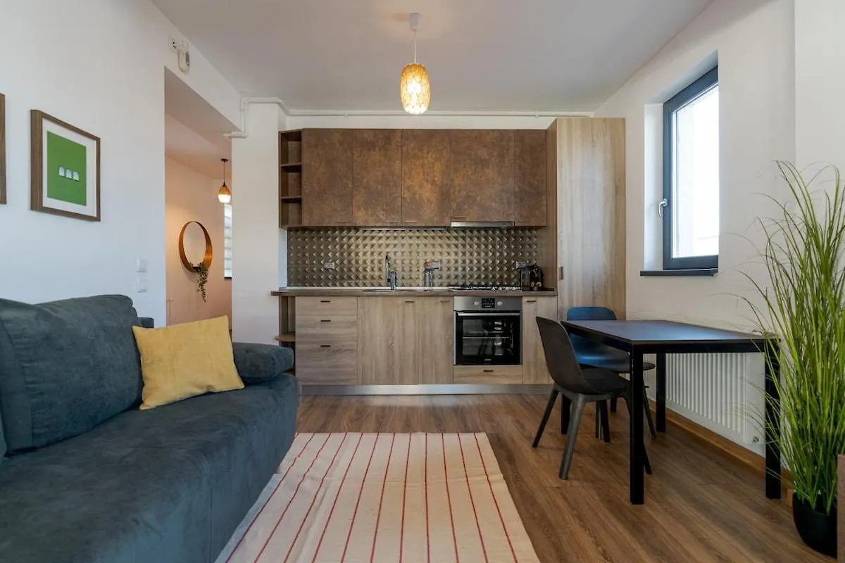 Downtown Loft Apartment With Jacuzzi&Terrace Bucharest